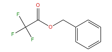 Benzyl 2,2,2-trifluoroacetate